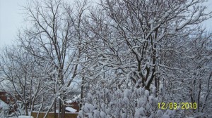 A December morning in Owen Sound