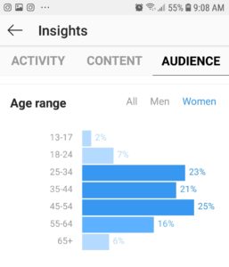 Instagram audience stats